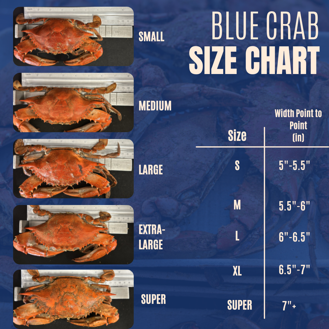 Heavy Male Blue Crabs