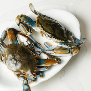 Heavy Live Male Blue Crabs
