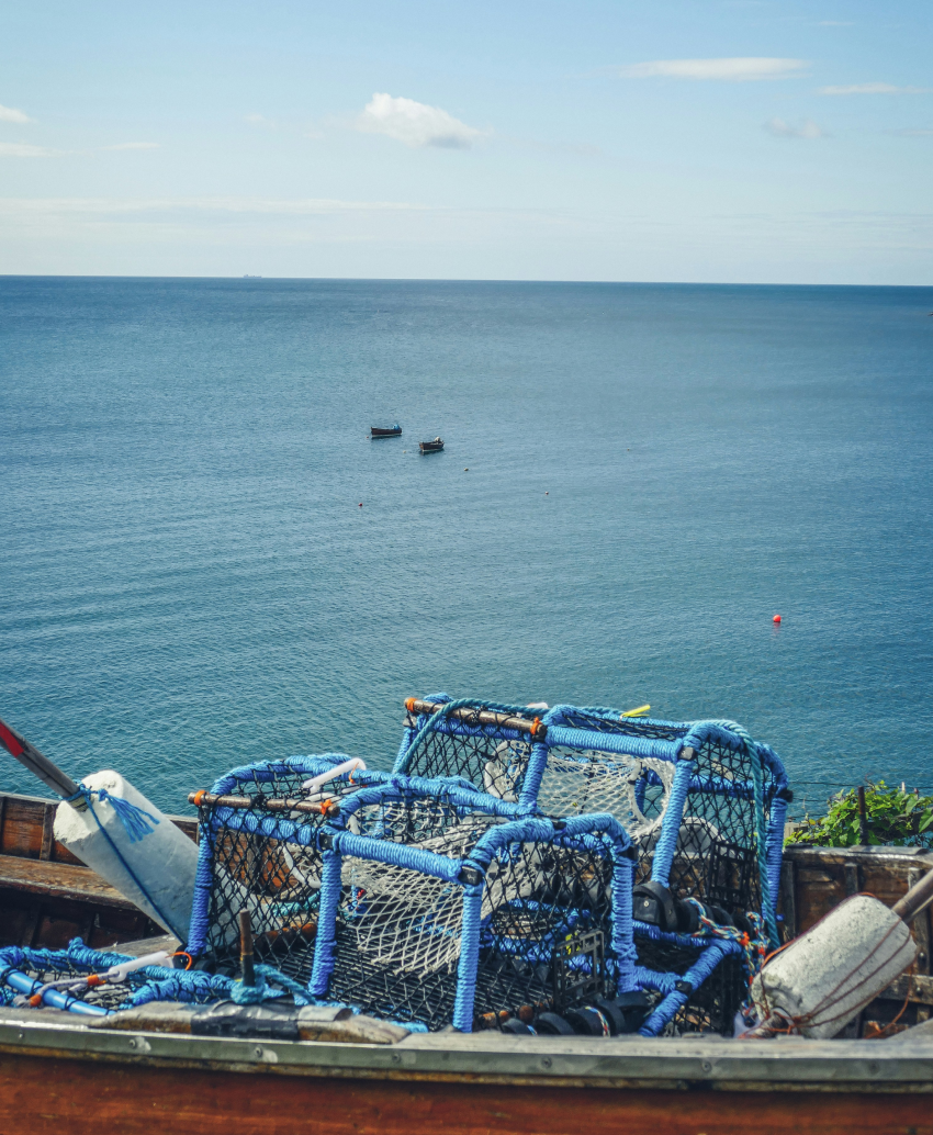 Crab traps on a boat. The background is the Chesapeake Bay