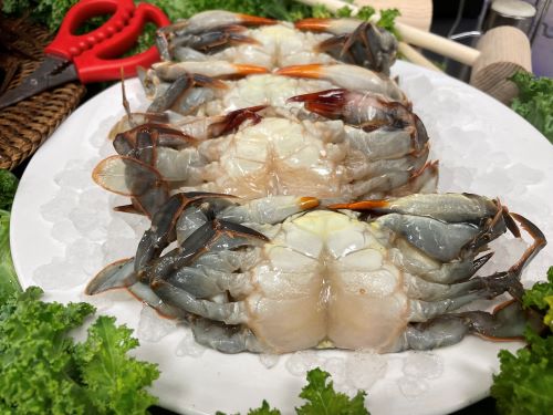 Fresh Soft Shell Crabs