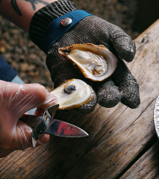 How to Shuck Oysters (Safely, Step by Step)