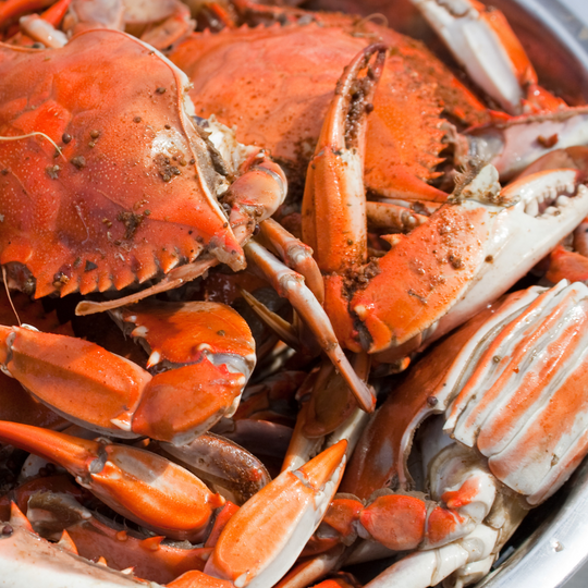 How to Steam Blue Crabs at Home (The Maryland Way)