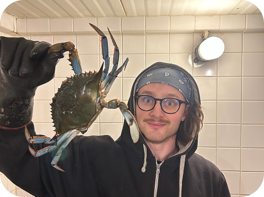 When Is Blue Crab Season? (Best Time to Buy)