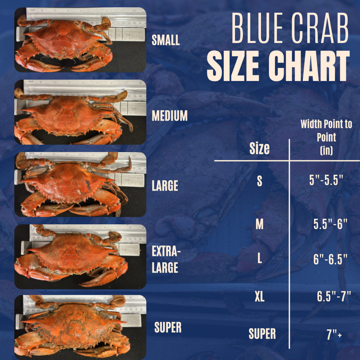 Large Male Blue Crab Clusters (12)