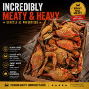 Heavy Male Blue Crabs