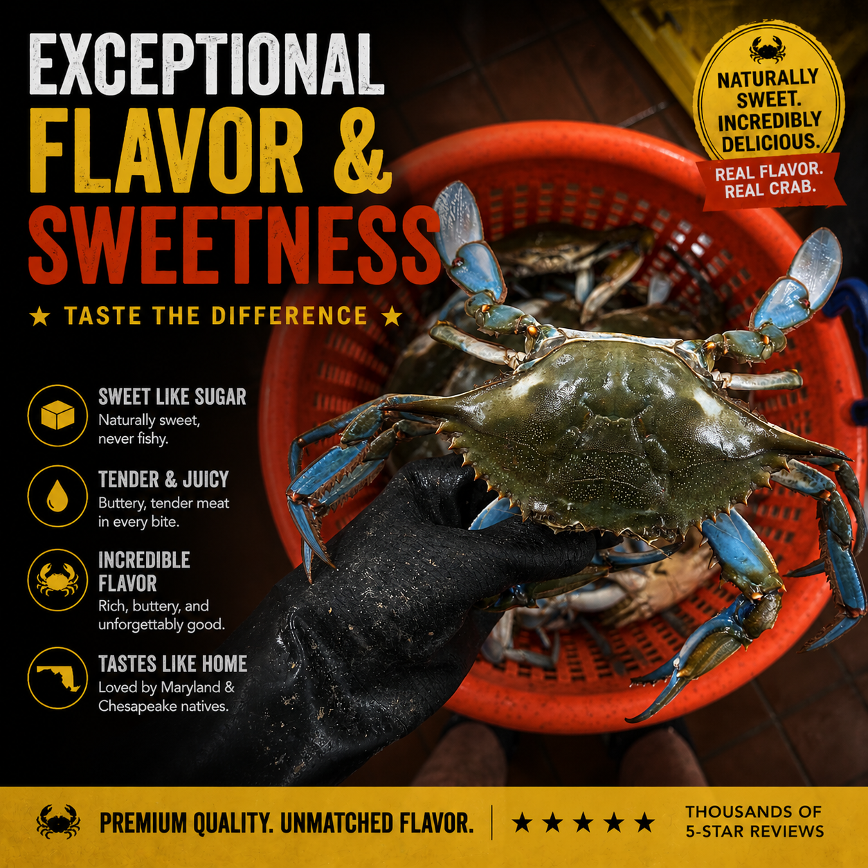 Heavy Live Male Blue Crabs