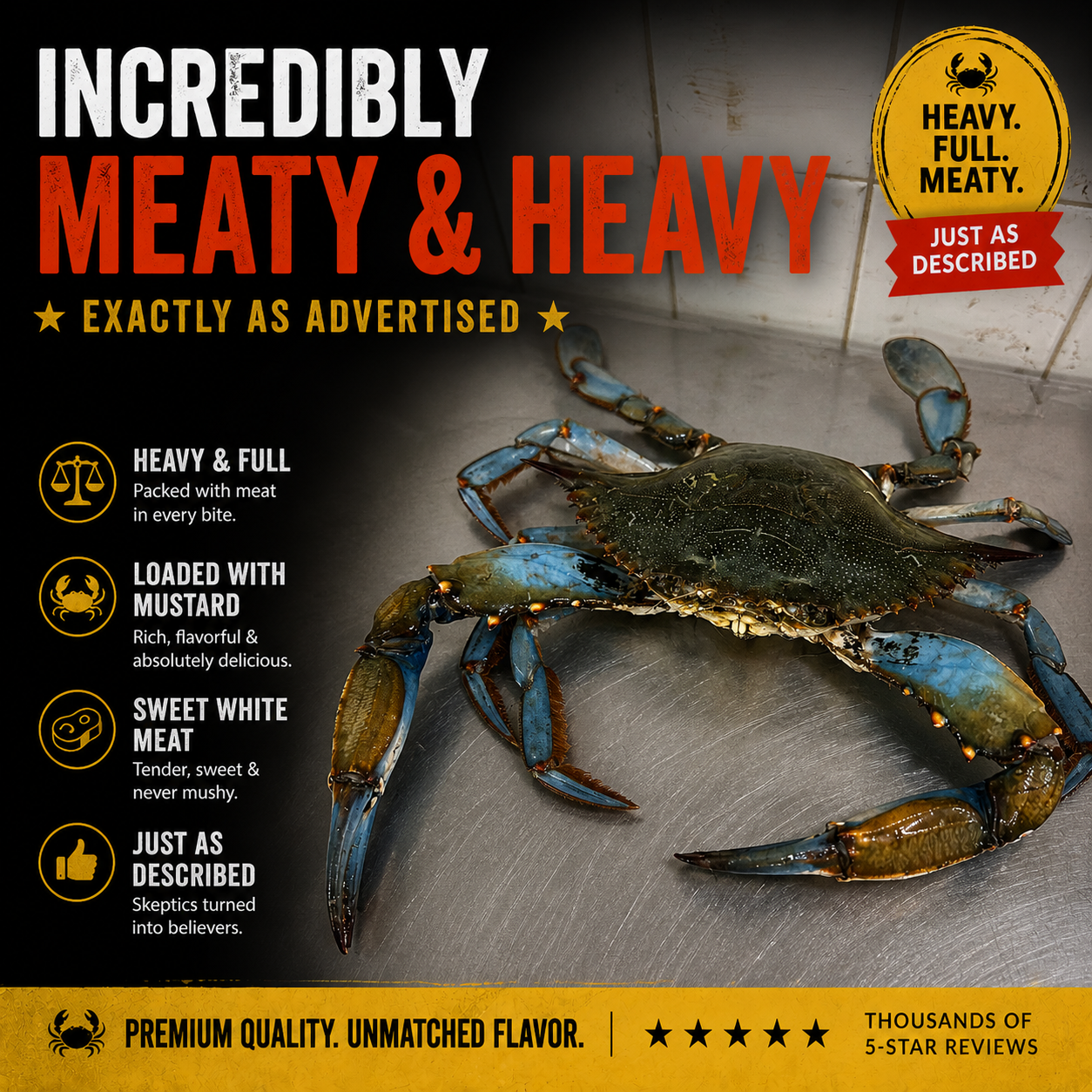 Heavy Live Male Blue Crabs