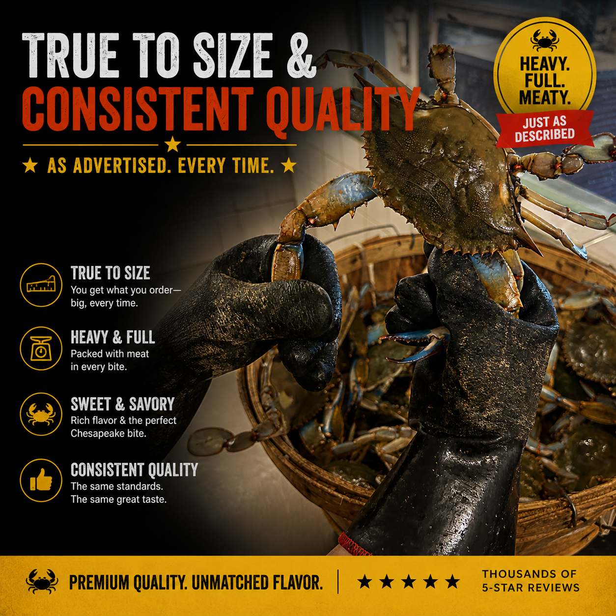 Heavy Live Male Blue Crabs