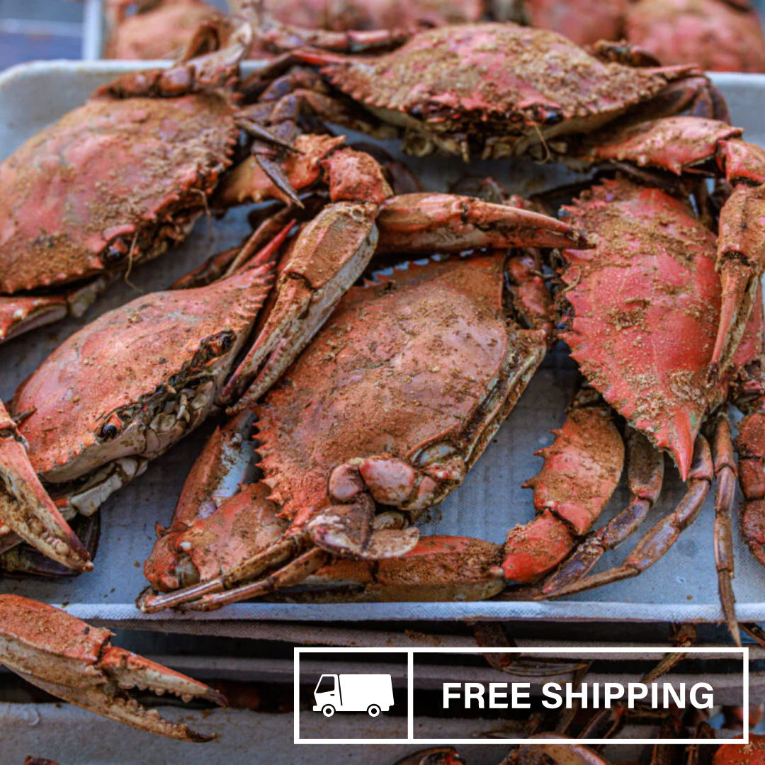 Heavy Male XL Blue Crabs