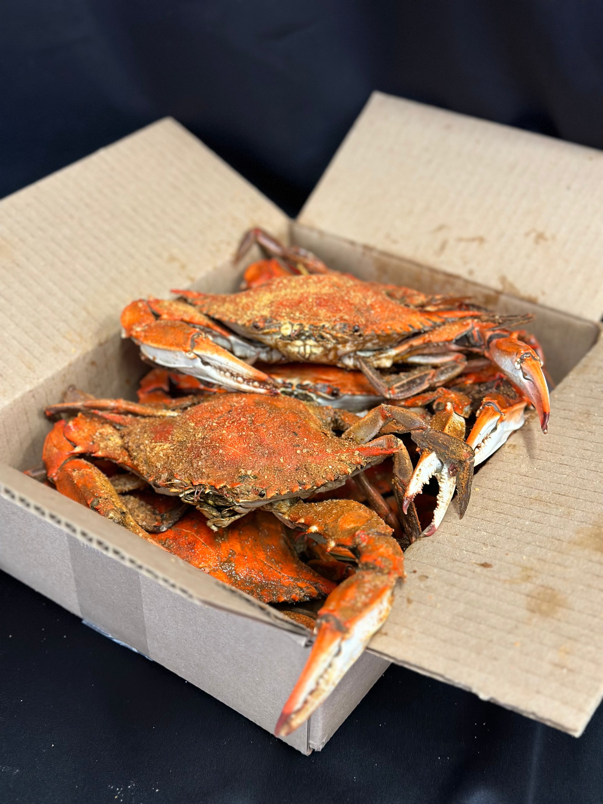 Male Blue Crabs