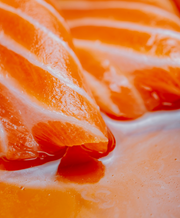 Wild Caught Coho Salmon