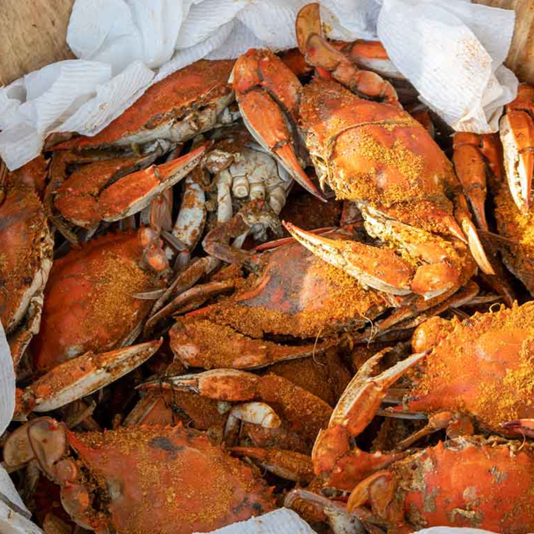 Buy 2 Dozen SM Crabs, Get 1 Dozen FREE!