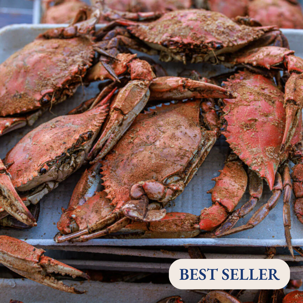 Male Blue Crabs