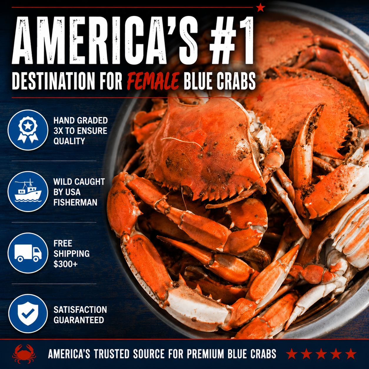 Female Blue Crabs